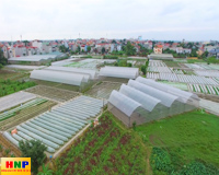 Xây dựng nền nông nghiệp Thành phố phát triển toàn diện theo hướng hiện đại, bền vững
